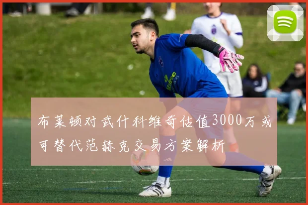 布莱顿对武什科维奇估值3000万或可替代范赫克交易方案解析