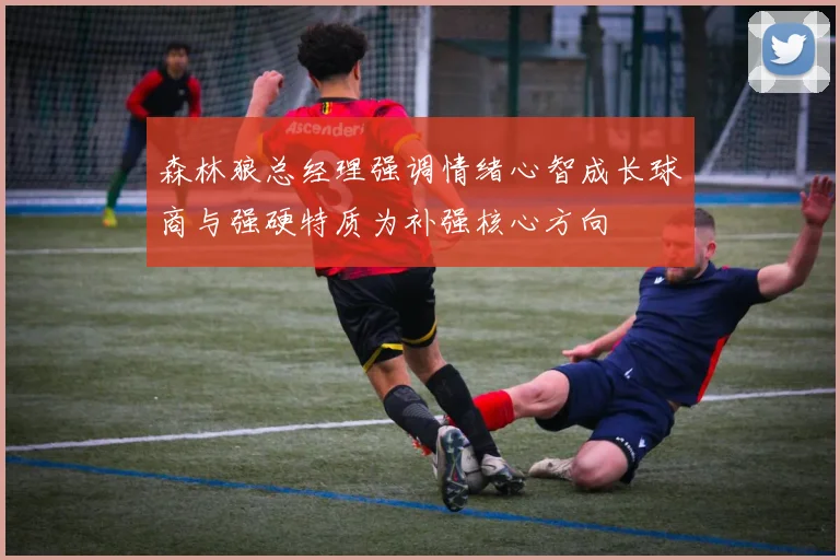 森林狼总经理强调情绪心智成长球商与强硬特质为补强核心方向