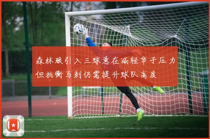 森林狼引入三球意在减轻华子压力但抗衡马刺仍需提升球队高度